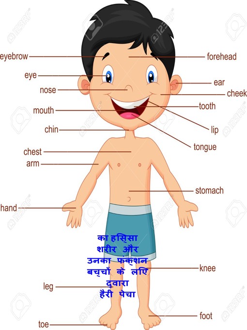 Title details for का हिस्सा शरीर और उनका फंक्शन बच्चों के लिए by HARRY PEACH - Available